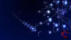 Flow(PSP)