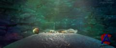   4:   / Ice Age: Continental Drift