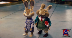   / Hop