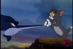   / Tom nd Jerry