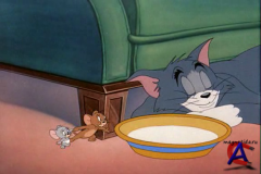    / Tom nd Jerry