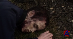   / The Zombie Diaries