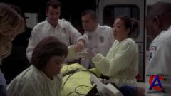   / Greys Anatomy (8 )