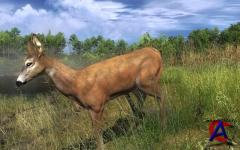 The Hunter 2012