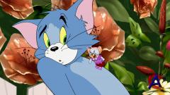         / Tom nd Jerry & The Wizard of Oz