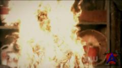  / Supernatural (7 )