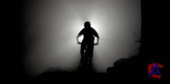   / Life Cycles