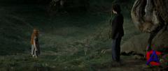     :  II / Harry Potter nd the Deathly Hallows: Part 2