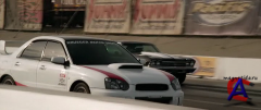   / Born to Race