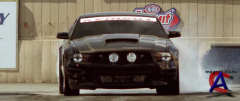   / Born to Race