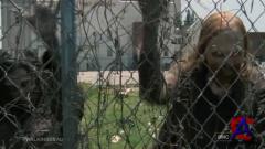   / The Walking Dead (2 )