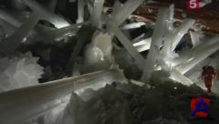 BBC:     / How Earth Made Us