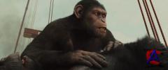    / Rise of the Planet of the Apes