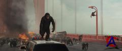    / Rise of the Planet of the Apes