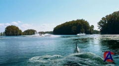  3D / Shark Night 3D