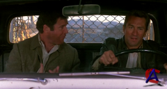    / Midnight Run