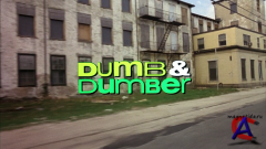     / Dumb & Dumber