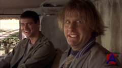     / Dumb & Dumber