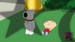  / Family Guy (10 )