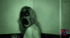   / Grave Encounters