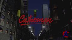  DC: - /DC Showcase: Catwoman