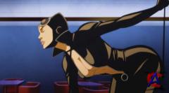  DC: - /DC Showcase: Catwoman