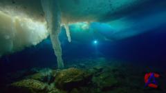 BBC:   /   / Frozen Planet(1 )