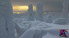 BBC:   /   / Frozen Planet(1 )