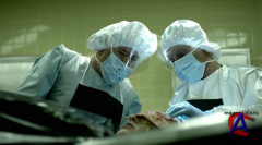  / Contagion