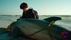   / Dolphin Tale
