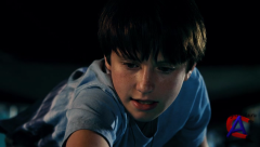   / Dolphin Tale