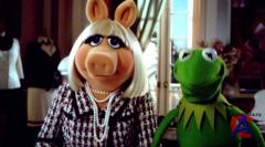  / The Muppets