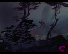  / Bambi