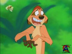    / Timon & Pumbaa (8 )