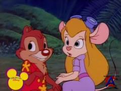       / Chip n Dale Rescue Rangers
