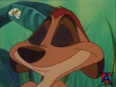    / Timon & Pumbaa (6 )