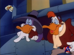   / Darkwing Duck (2 )