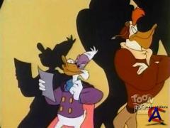   / Darkwing Duck (3 )