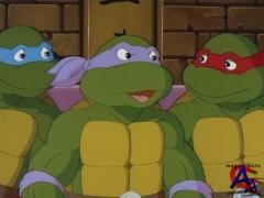    / Teenage Mutant Ninja Turtles (8 )