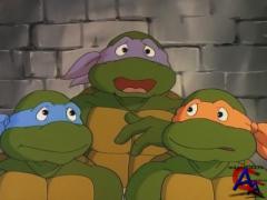    / Teenage Mutant Ninja Turtles (8 )