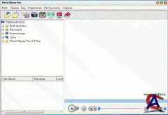 Flash Player Pro + Rus