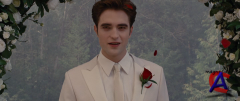 . . :  1 / The Twilight Saga: Breaking Dawn - Part 1