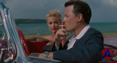   / The Rum Diary