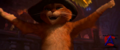    / Puss in Boots