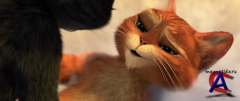    / Puss in Boots