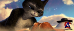    / Puss in Boots