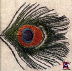 XTC - Apple Venus Volume 1