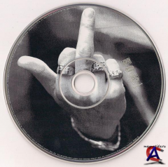 Kid Rock - Devil Without A Cause