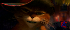    / Puss in Boots