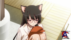   / Bakemonogatari